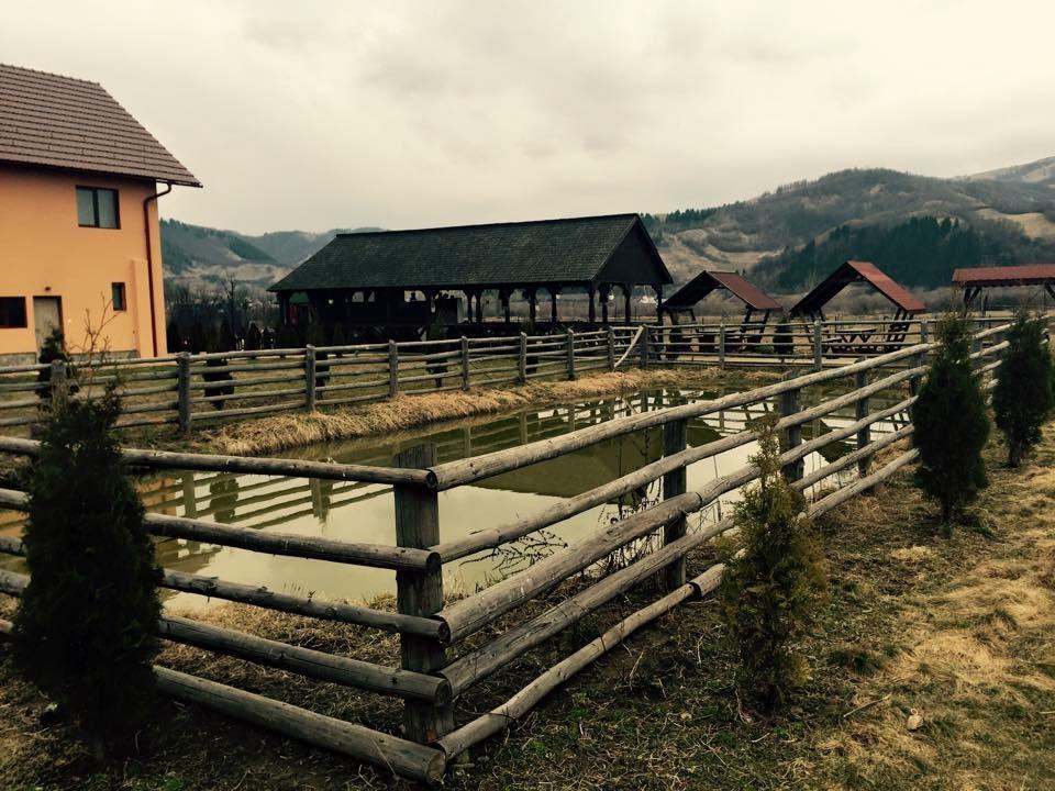 Pensiunea Sasu Sieu  Bagian luar foto